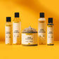 Bestsellers Bundle