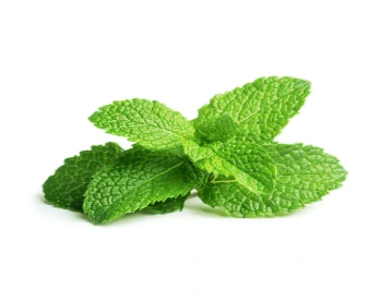 peppermint