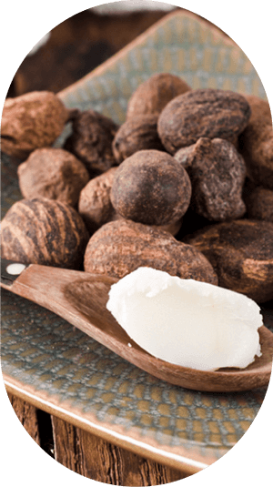 Cocoa Butter