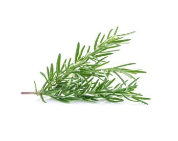 rosemary